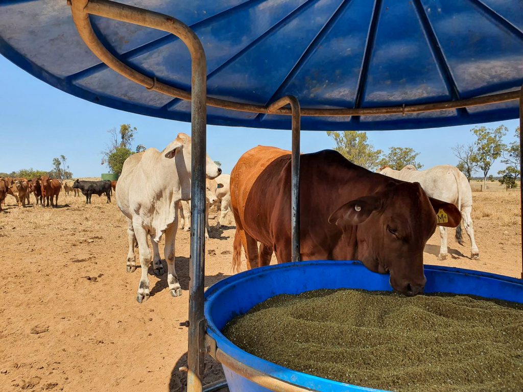 MicrosoftTeams-image (17)