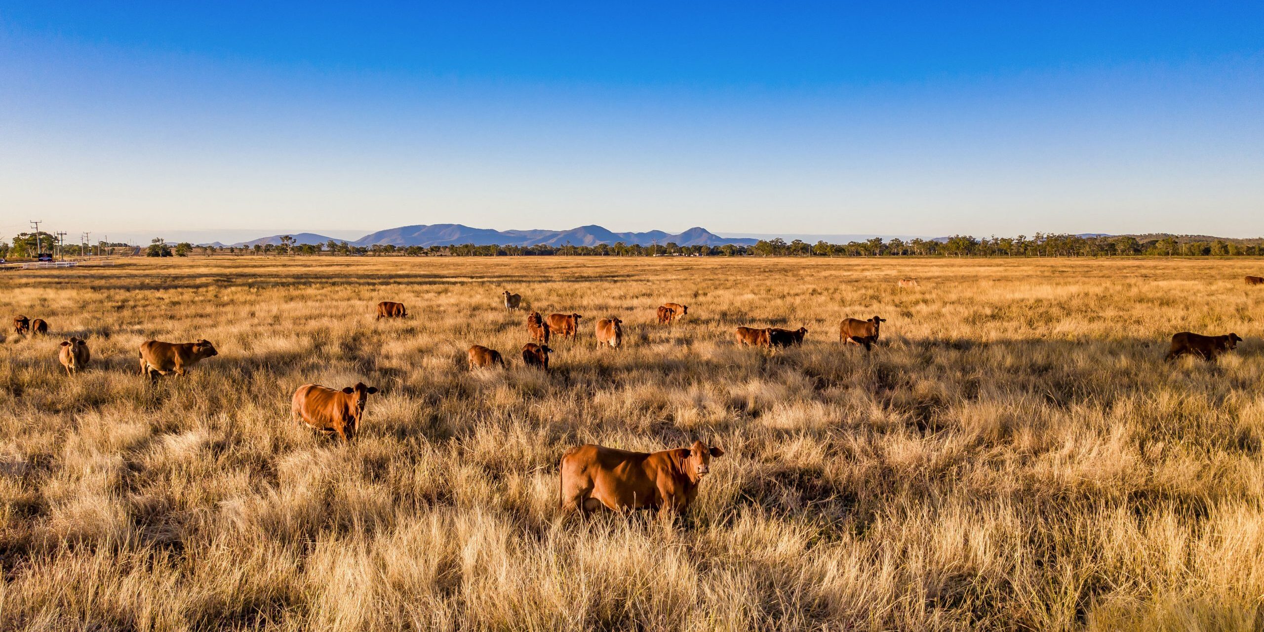 AdobeStock_391163678